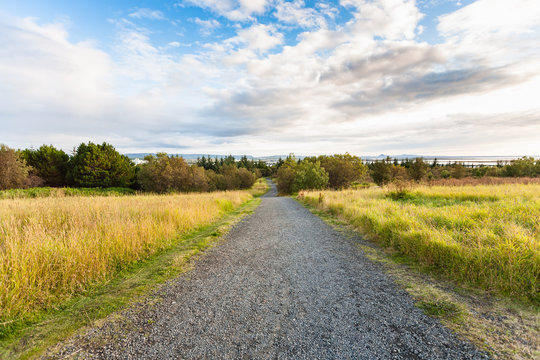 dirt road in the vicinity of Reykjavik city