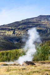 geyser in Haukadalur valley in Iceland