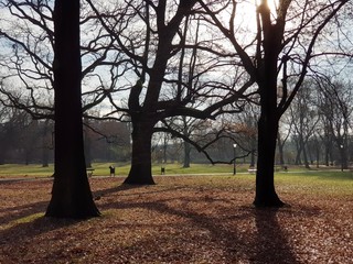 Jesienny park © michalsen