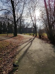 Droga przez park
