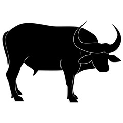 Vector, flat image of a buffalo on an isolated white background