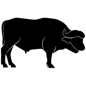 Picture of a buffalo silhouette for retro logos, emblems, badges, labels template vintage design element. Isolated on white background