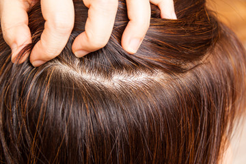 Fototapeta premium Close-up on dyed hair roots of woman. No more grays.