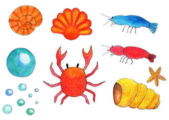 Set marine aquarium, shrimp, shells, crabs, bubbles