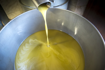 spremitura di olio d'oliva
