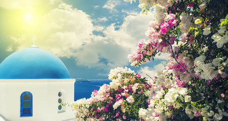 Blue domed church in Oia, Santorini with bougainvillea flowers on th foreground