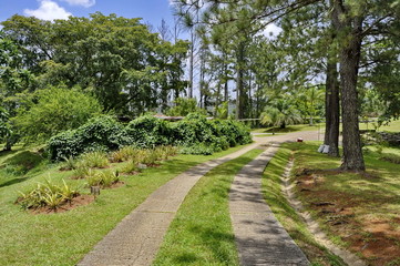 Fototapeta na wymiar Croydon Plantation, Jamaica