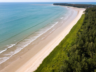 Aerial view of a deserted sandy beach surrounded by trees in the tropics