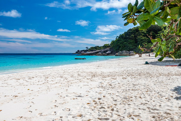 A tropical sandy beach in the Similan Islands, Thailand