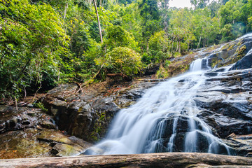 A waterfall running through a tropical rainforest