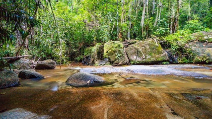 Fototapeta premium A river running through a tropical rainforest