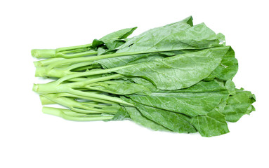 Chinese kale vegetable on white background