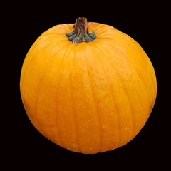 Big Mama, Kuerbis, Speisekuerbis, Cucurbita pepo