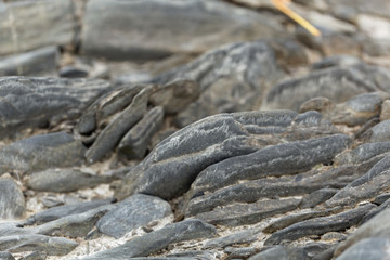 Washed stones on a beach