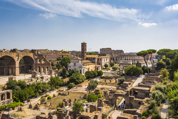 Naklejka premium Panoramic view the Colosseum and Roman Forum from Palantine hill, Rome, Italy