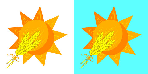 Wheat ears and sun. Ears of wheat vector logo, label, package design elements. Barley or rye illustration. Concept for agriculture, organic cereal products, harvesting grain and farming.