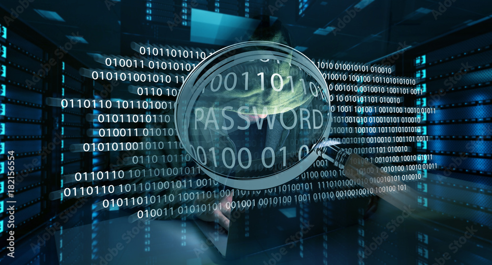 Leinwandbilder Hacker accessing to personal data information with a computer 3D rendering