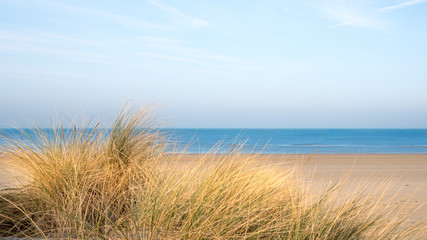 Natural view on the blue sea and beach in summer, from the dunes. Real dreamy look with flair of vacation
