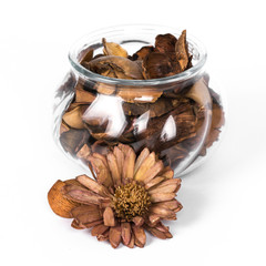 flower dried