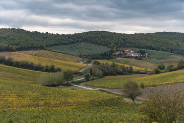 Fototapeta na wymiar autumn in the hills of Siena with ancient farms and vineyards