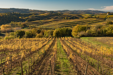 Fototapeta na wymiar sunset over the chianti hills in autumn in province of Siena Tuscany Italy...