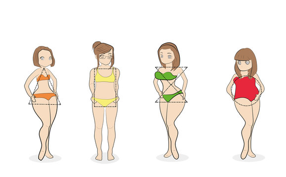 women with different types of figures. vector illustration
