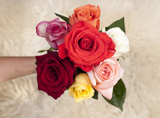 Small bouquet of roses in hand, top view