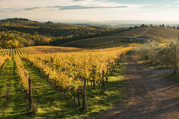 sunset over the chianti hills in province of Siena Tuscany Italy