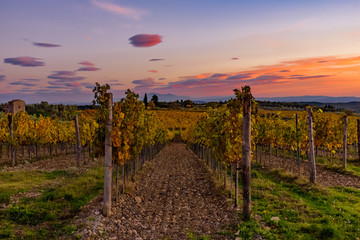 sunset over the chianti hills in autumn in province of Siena Tuscany Italy...