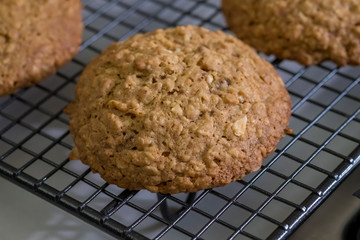 Close up Homemade Malt and Oat Cookie Sandwiches . (selective Focus)