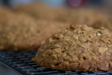 Close up Homemade Malt and Oat Cookie Sandwiches . (selective Focus)