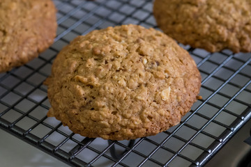 Close up Homemade Malt and Oat Cookie Sandwiches . (selective Focus)