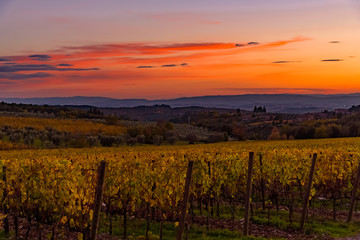 Fototapeta premium sunset over the chianti hills in autumn in province of Siena Tuscany Italy...