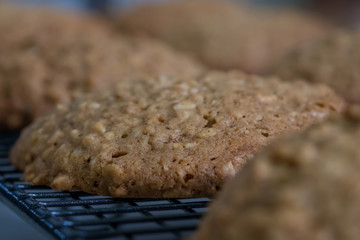 Close up Homemade Malt and Oat Cookie Sandwiches . (selective Focus)