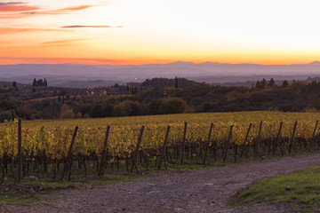 Fototapeta premium sunset over the chianti hills in autumn in province of Siena Tuscany Italy...