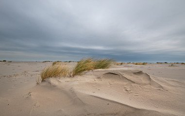 Storm on a beach