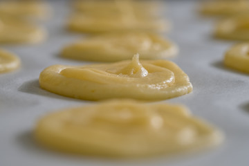 Close up Homemade White Chocolate Cat’s Tongue Cookies . (selective Focus)