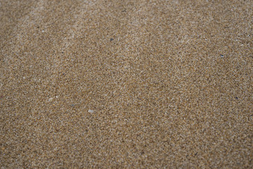 Fototapeta na wymiar Sea sand. The Texture and background