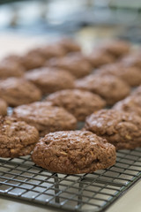 Close up Homemade Chocolate Cookie Sandwiches . (selective Focus)