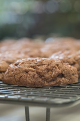 Close up Homemade Chocolate Cookie Sandwiches . (selective Focus)