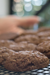 Close up Homemade Chocolate Cookie Sandwiches . (selective Focus)