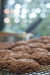 Close up Homemade Chocolate Cookie Sandwiches . (selective Focus)