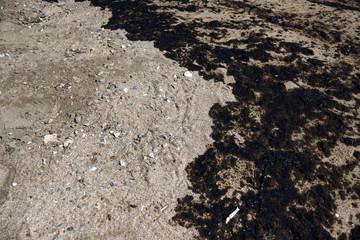 Athens, Greece, September 14 2017: Greek oil spill spreads to Athens Riviera following the sinking of an oil tanker in Saronic Gulf.