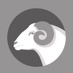 ram head flat style vector illustration profile