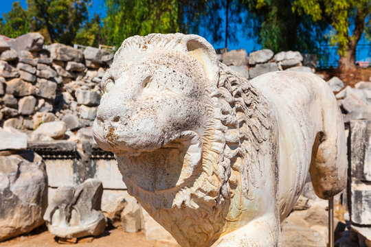 Sculpture of lion at the archaeological site of Ruins of the Apollo Temple in Didyma, Turkey.