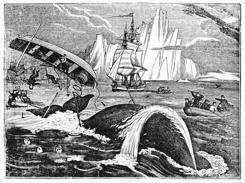 Boat tossed while whaling, ancient accident in the North Sea with an iceberg on background. Old Illustration by unidentified author published on Magasin Pittoresque Paris 1834