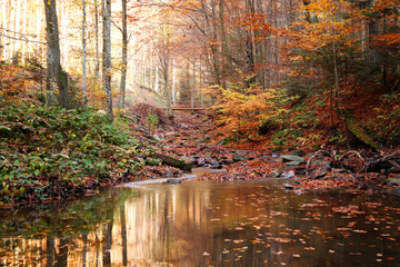 A small pond on the stream in the autumn forest