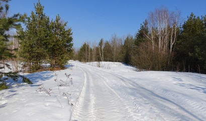 Obraz premium Landscape with a snowy road in early spring. The road through the forest, lit by the spring rays of the sun. 