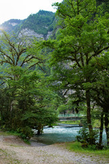 Mountain river in the forests of Abkhazia