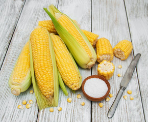 Fresh corn on the cob